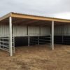 Double 2 sided custom build for PPP Equestrian - Lara VIC