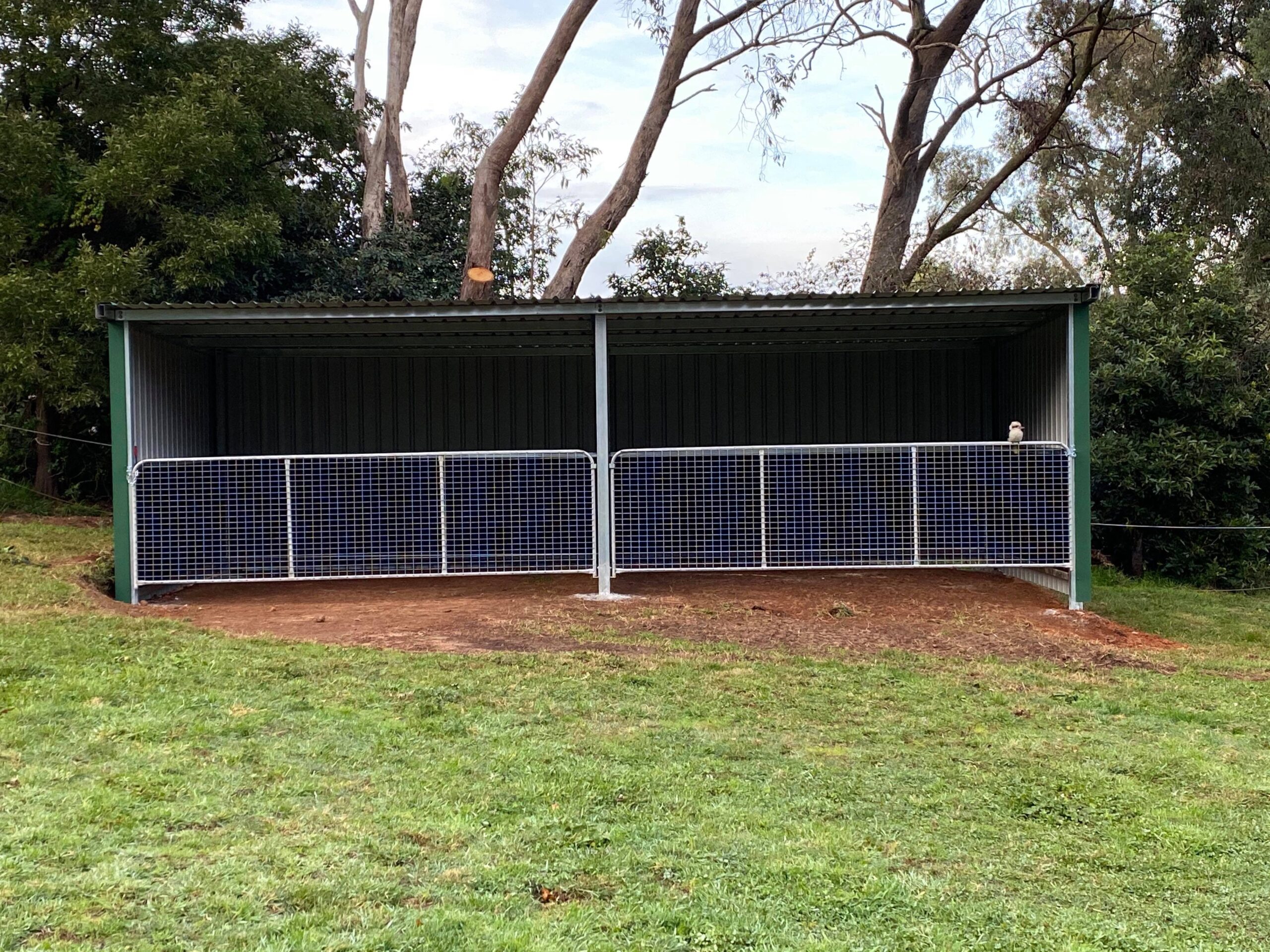 Double 8.8m x 4.3m build - Macclesfield with a little Aussie visitor!