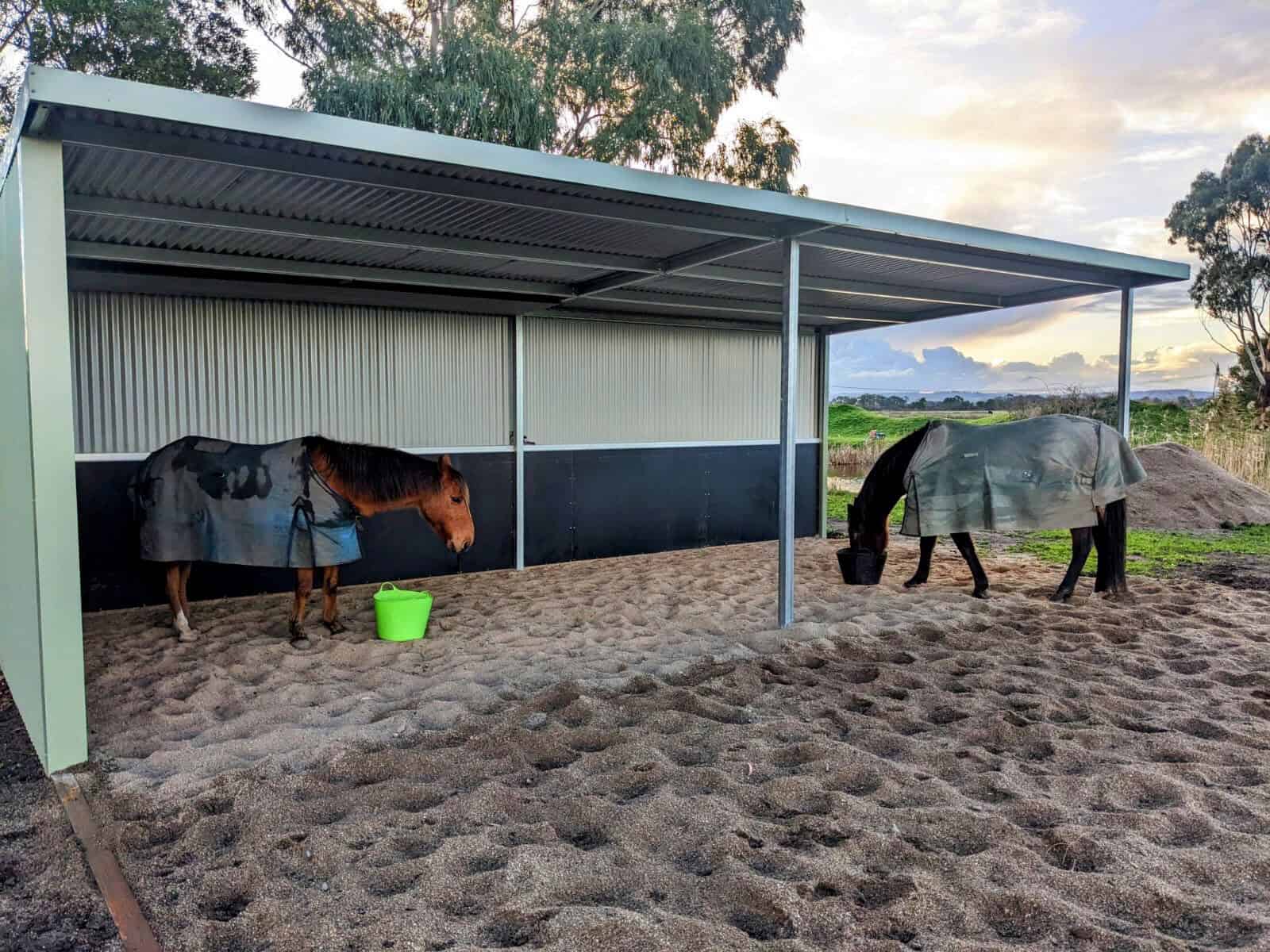 Double Shelter 2 sided - Nar Nar Goon 1